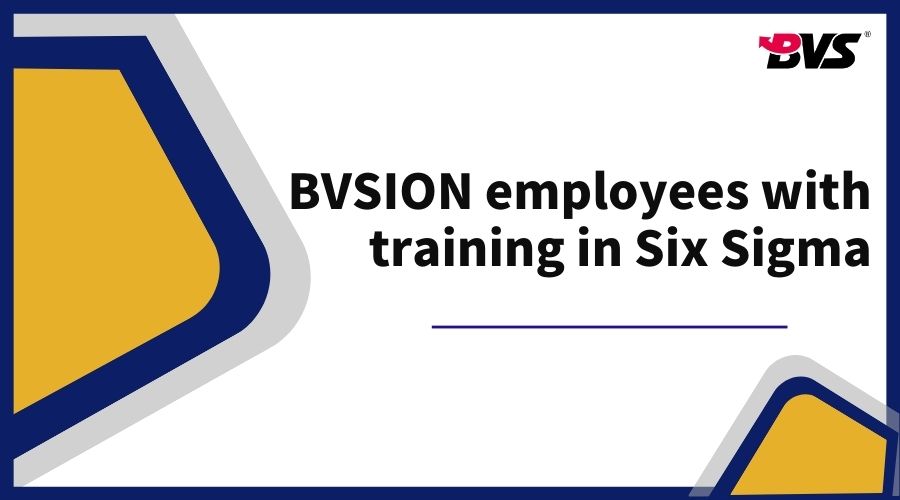 BVSION employees with training in Six Sigma